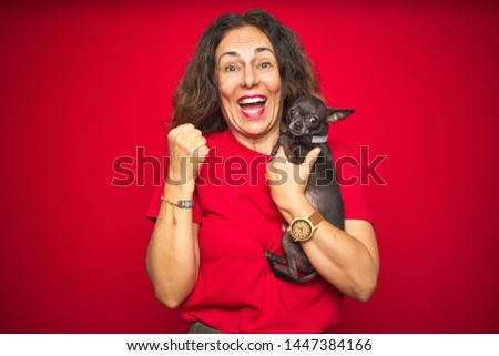 Middle age senior woman holding cute chihuahua dog over red isolated background screaming proud and celebrating victory and success very excited, cheering emotion
