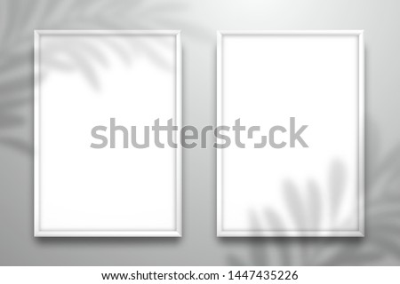 Two white blank picture frames hanging on the wall. The shadow of the leaves of the palm tree is on top. Mockup for design