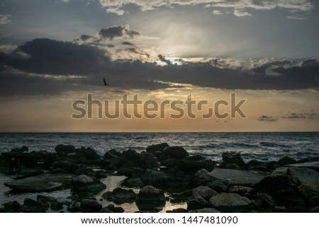 a beautiful sunrise on the ocean. rocks near the shore. Bird on the sky. a dramatic dawn