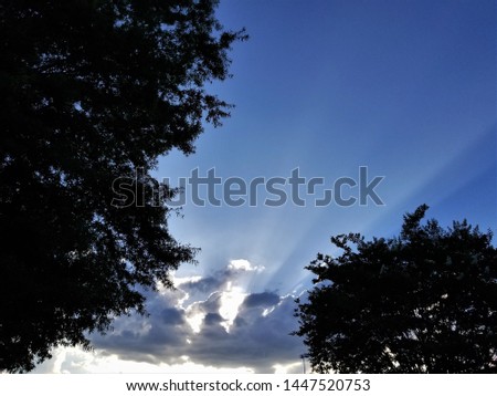 Tree Tops Silhouetted by Clouds With Sun Rays 