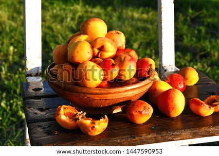 Very ripe homemade apricots in the garden on the bench, in a ceramic bowl.