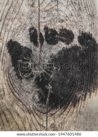 Leg print on wooden board