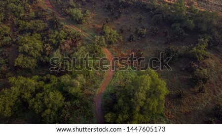 
Aerial shot of reddish roads in semidesert landscape in the morning