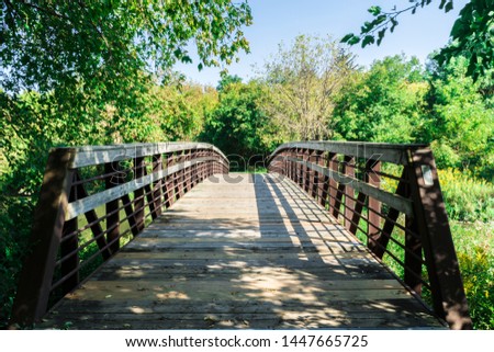 a bridge in the forest