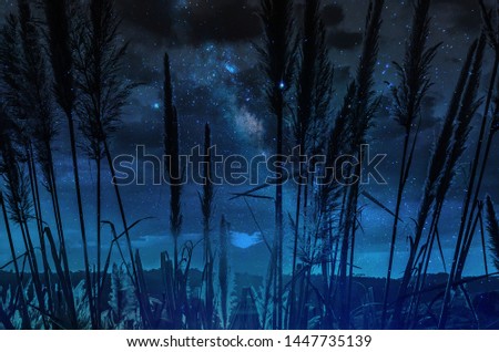Milky way galaxy with stars and space in the universe mix with nature background