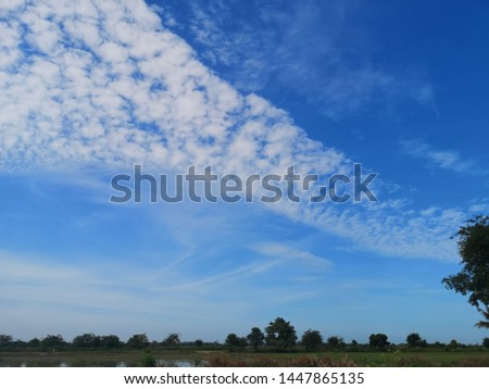 Ske, clouds, beautiful​ trees​ thai​ lopburi Royalty-Free Stock Photo #1447865135