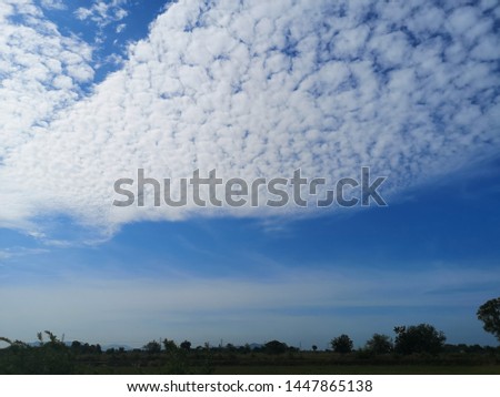 Ske, clouds, beautiful​ trees​ thai​ lopburi Royalty-Free Stock Photo #1447865138