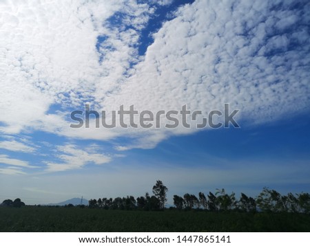 Ske, clouds, beautiful​ trees​ thai​ lopburi Royalty-Free Stock Photo #1447865141
