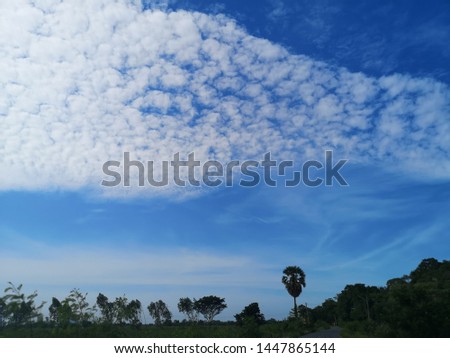 Ske, clouds, beautiful​ trees​ thai​ lopburi Royalty-Free Stock Photo #1447865144