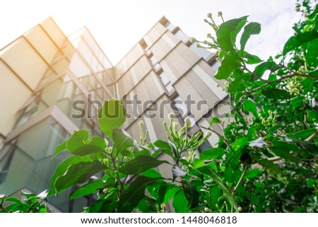 Abstract modern architecture background of Business building exterior with Green environment of tropical plant at financial development & growth city, residential & environmentally friendly concept   Royalty-Free Stock Photo #1448046818