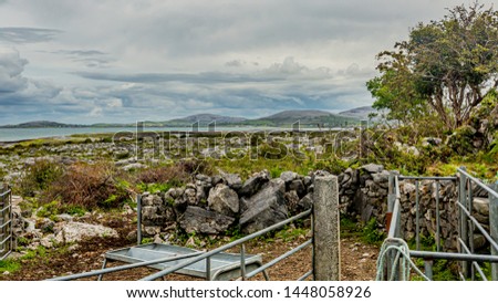 Limestone landscape seen from a farm with a hill and the sea in the background in the Burren, geosite and geopark, Wild Atlantic Way, spring day in County Clare in Ireland