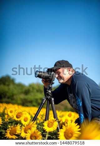 man with camera photographing sunflowers