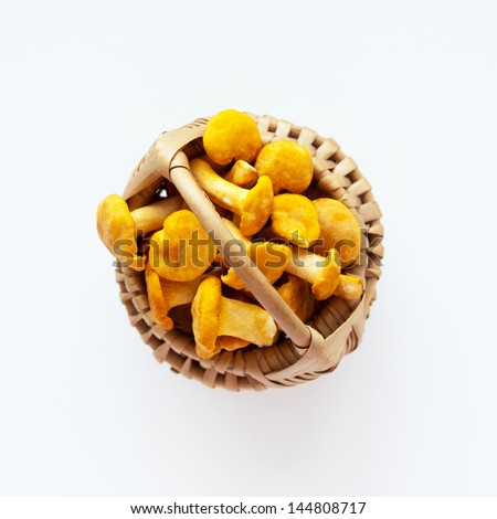 Bright yellow chanterelles in a wicker basket