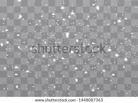 Snowfall, snowflakes in different shapes and forms. Snowflakes, snow background. Christmas snow for the new year.  Royalty-Free Stock Photo #1448087363