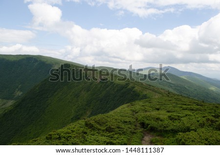 Carpathian mountains Dragobrat in Ukraine. Under blue sky, green grass.
