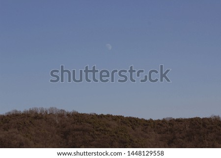 moon with some nature and city