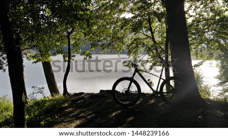 Bicycle by the lake in the afternoon