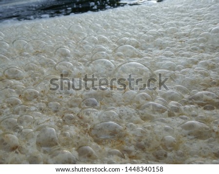 dirty soapy water with bubbles near the waterfall. Pollen and dirt mixed with water in the river or lake, environmental protection, purification of nature. healthy lifestyle, clean up the trash