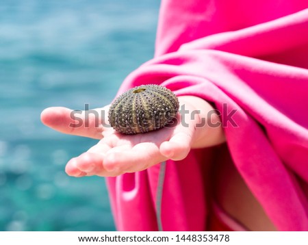 kids hand holding a urchin shell in front of beach and ocean; nice holiday or traveling picture