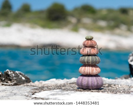photo shows a stack of urchin shells close to beach near reasort - nice vacation situation or holiday ocean picture