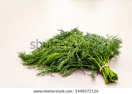 Fresh organic herb dill. Flat lay cooking concrete stone background, healthy food concept, copy space