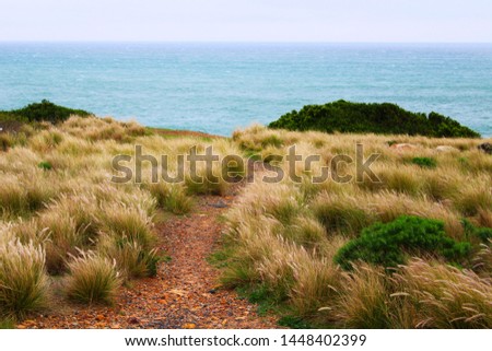 A rocky path leading to the beach on a winter's day (Western Cape, South Africa)