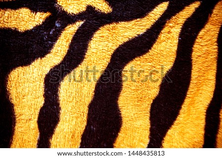background texture coloring tiger skin