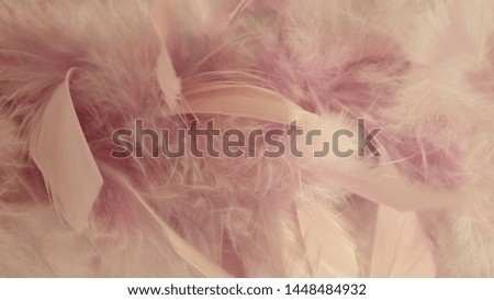 Pink fluffy blurry feathers close up background