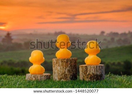 Three ranking winner yellow ducks proudly standing on the winning podium with beautiful sunrise as background. Concept of competition .