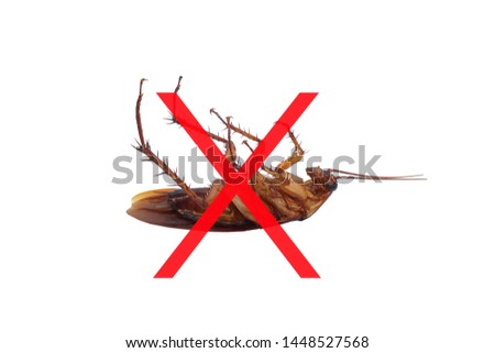 Warning sign No close-up cockroach. Stop insects. Isolated on white background.