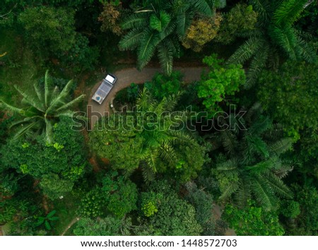Aerial Drone photo small and unique road in the forest - images