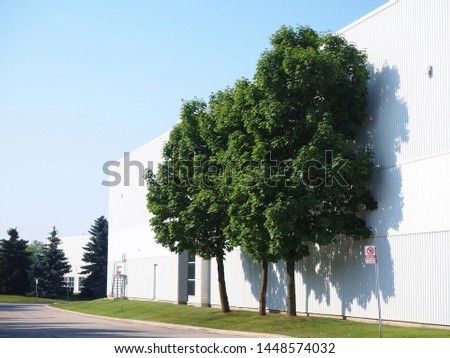 Three trees beside white warehouse on sunny day 
