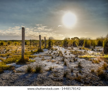 salt flats and fence posts at sunset