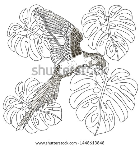 Coloring Pages. Coloring Book for adults and children. Colouring pictures with birds and flowers. Antistress freehand sketch drawing with doodle and zentangle element