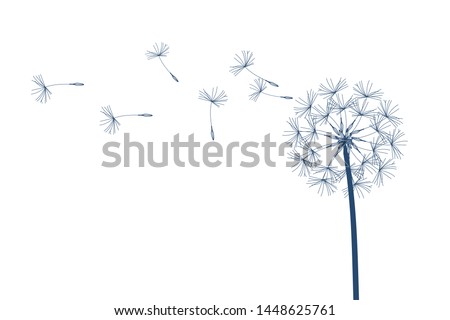 Dandelion vector. Make a Wish. Simple minimalist style. Royalty-Free Stock Photo #1448625761