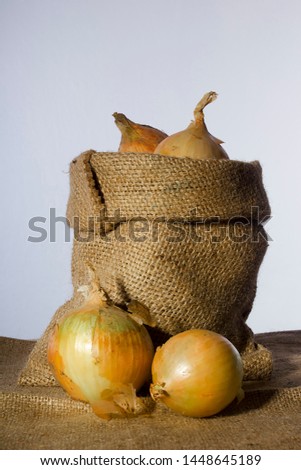 Onions in a bag on a gray background