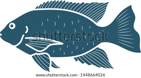 Tilapia - tropical fish illustration draw