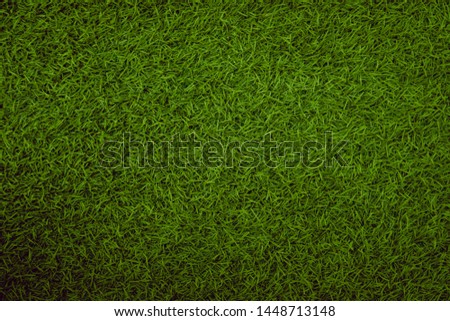 Green artificial grass natural background