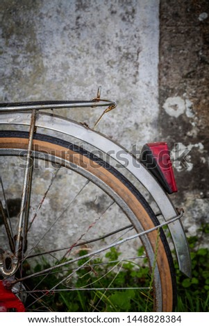 cropped shot of an abandoned bicycle leaning against an old farmhouse in overgrown grass. nice background. simple and charming, symbol of aging.