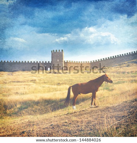 medieval fortress and horse -  toned picture in retro style
