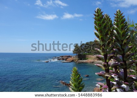 Beautiful seashore with plants and cliffs, view from beach during holiday