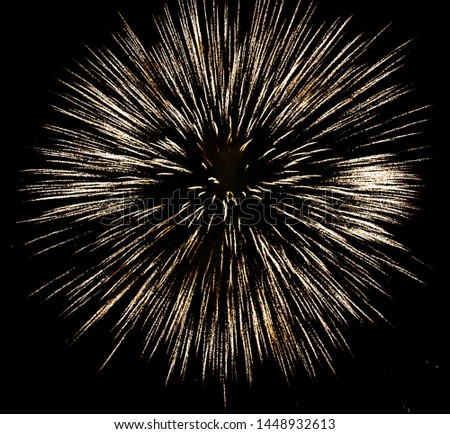 Fireworks sparkles in the night sky as background .