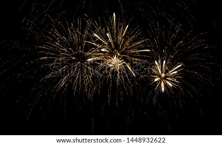 Fireworks sparkles in the night sky as background .