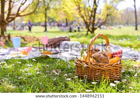 Lunch in the park on the green grass. Summer sunny day and picnic basket. Copy space