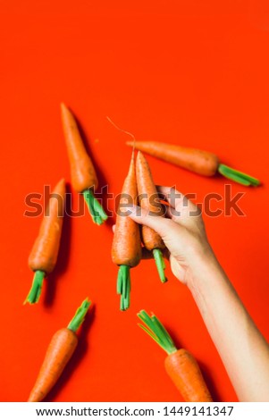 A bunch of fresh carrots in hand on red background.