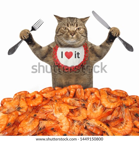 The cat in a napkin neck with a knife and a fork is behind a pile of boiled shrimp. White background. Isolated.
