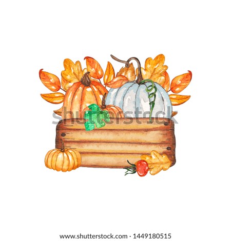 Hand painted watercolor pumpkin composition isolated on white background. Colored vegetables with yellow leaves in box. Autumn vegetables. It is perfect for thanksgiving cards, halloween design
