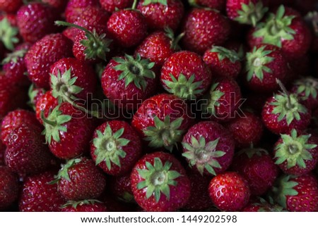 strawberries red with green tails close-up