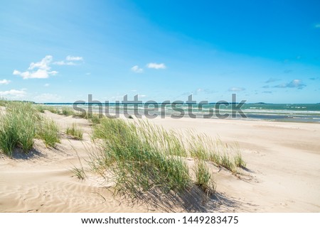 Beautiful sandy beach Yyteri at summer, in Pori, Finland Royalty-Free Stock Photo #1449283475