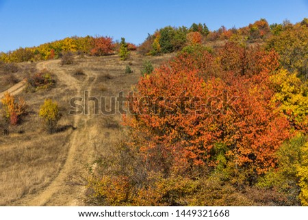 Amazing Autumn Landscape of Cherna Gora (Monte Negro) mountain, Pernik Region, Bulgaria